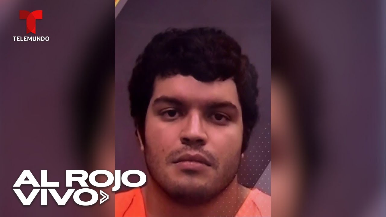 Arrestan a joven que at&oacute; y abandon&oacute; a su perro durante el hurac&aacute;n Milton en Florida