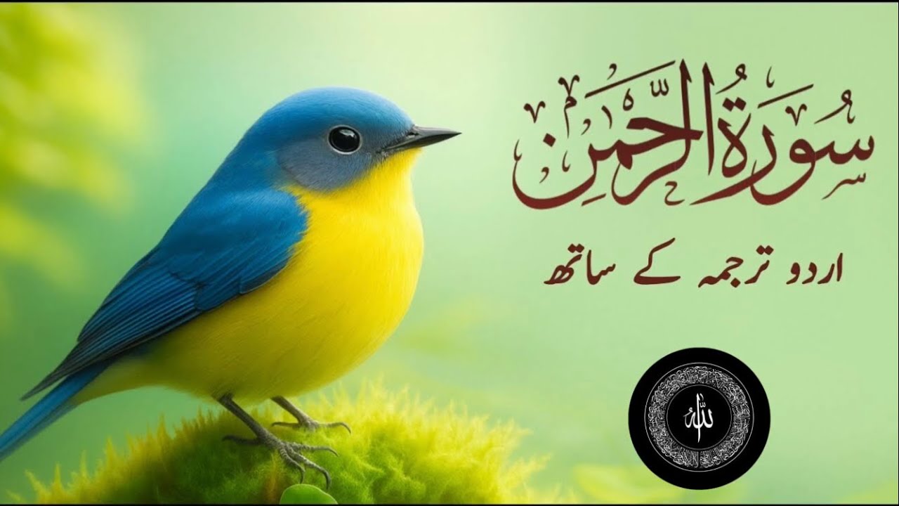 surah rahman urdu tarjuma ke sath tilawat || ep10💫