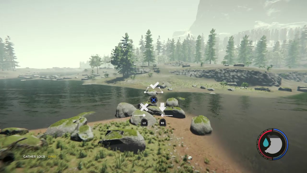 The Forest | 