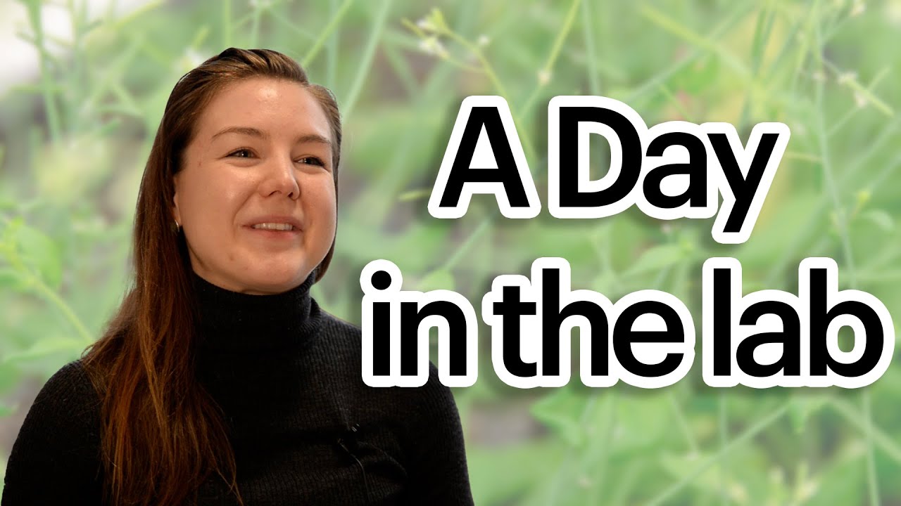 Making a big switch to plant biology | A Day in the lab