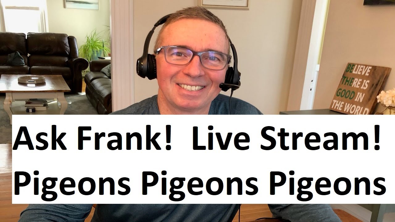 Ask Frank McLaughlin Lofts Live Stream #9 -The Art of Racing Pigeons