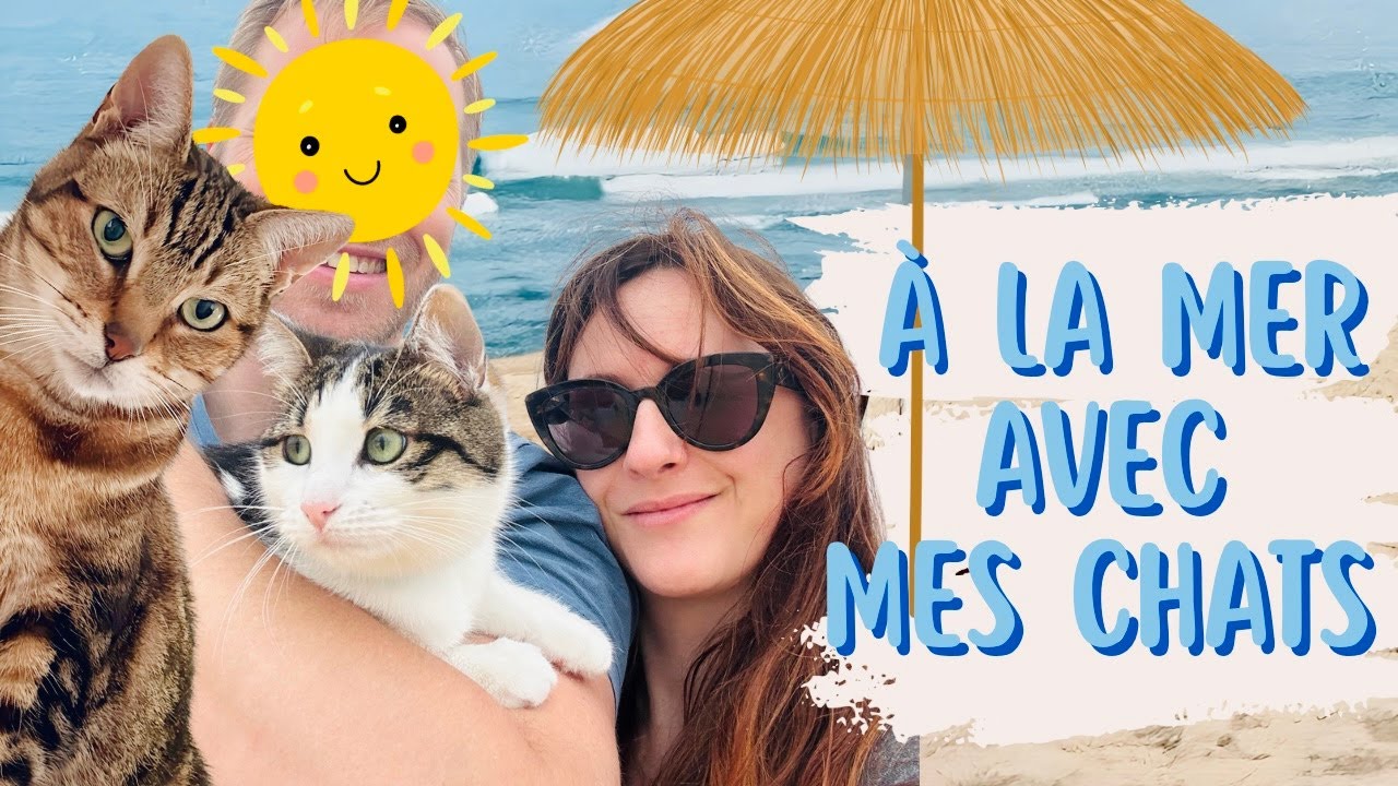 🏖️ 😺 Je suis partie en vacances à la mer avec mes chats ! Mon organisation de A à Z  🧳👙