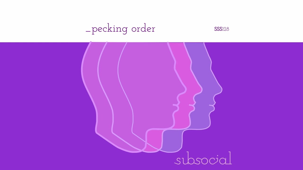 PECKING ORDER - Wonderfully drifty, vintage arpeggio instrument for Ableton Live