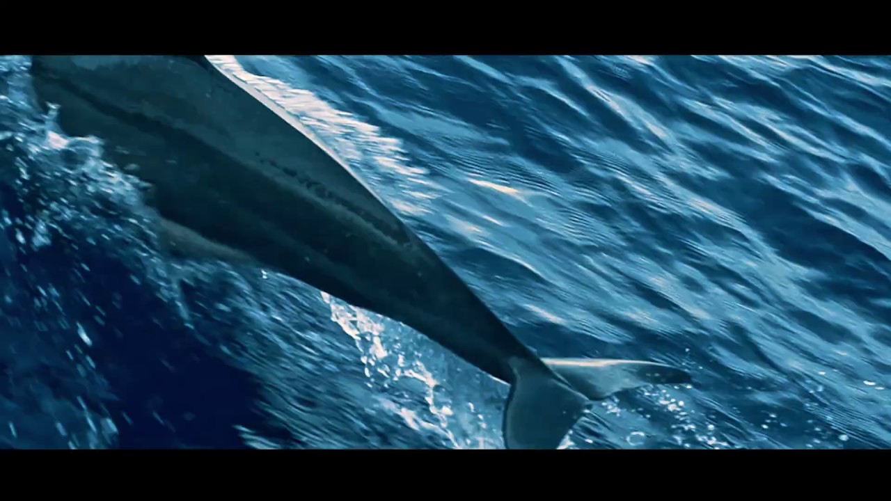 The J Project: Everything about Semirara Islang, Antique Philippines Film Trailer