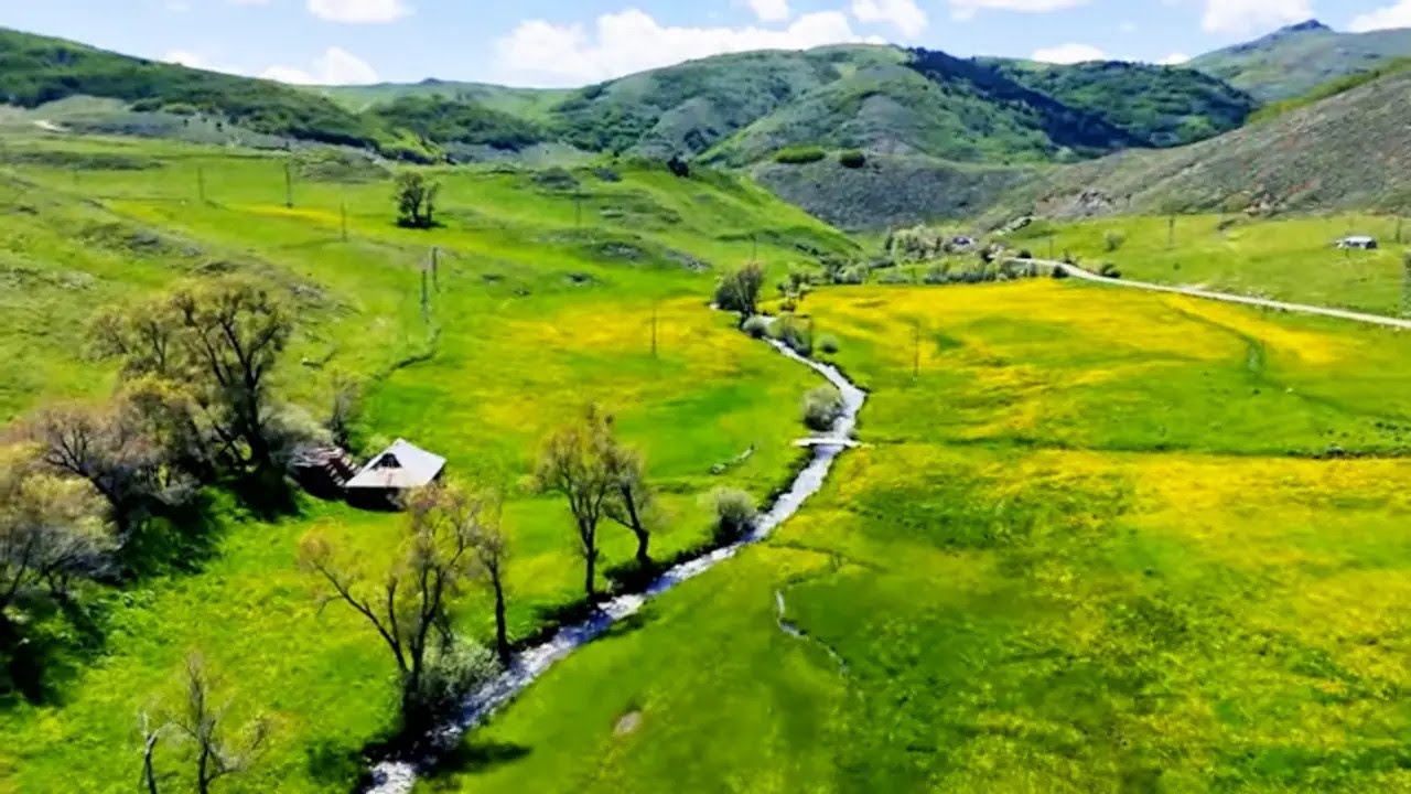 Sarıçiçek Köyü