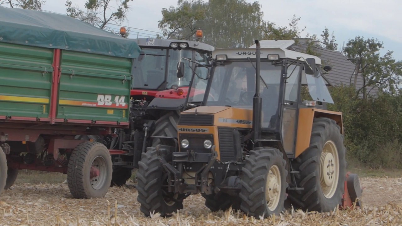 Kukurydza Na Ziarno 2018|MasseyFerguson Activa7244|MasseyFerguson 7619|Ursus 914