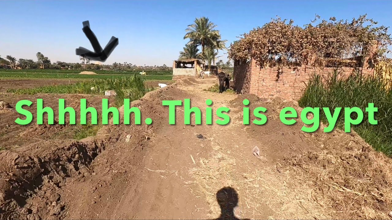 4K A long quiet walk to the Dahshur Pyramids