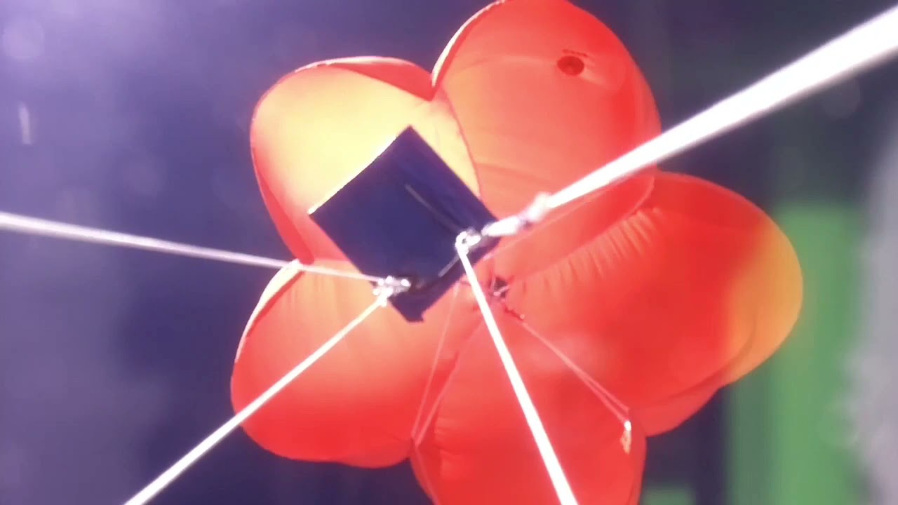 BACAR9 High Altitude Balloon Flight