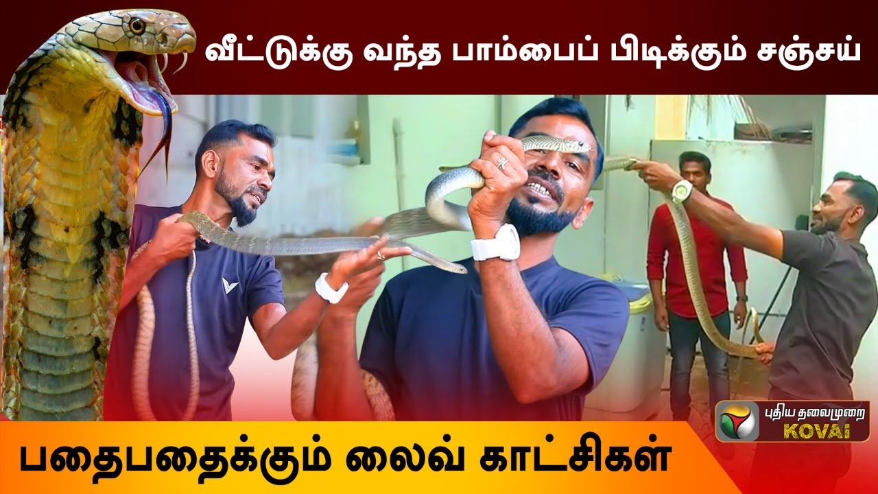 பாம்பு நம்மள கடிக்கணும்ன்னு வராது! -  Live snake catching | Coimbatore Sanjay | Snake | பாம்பு