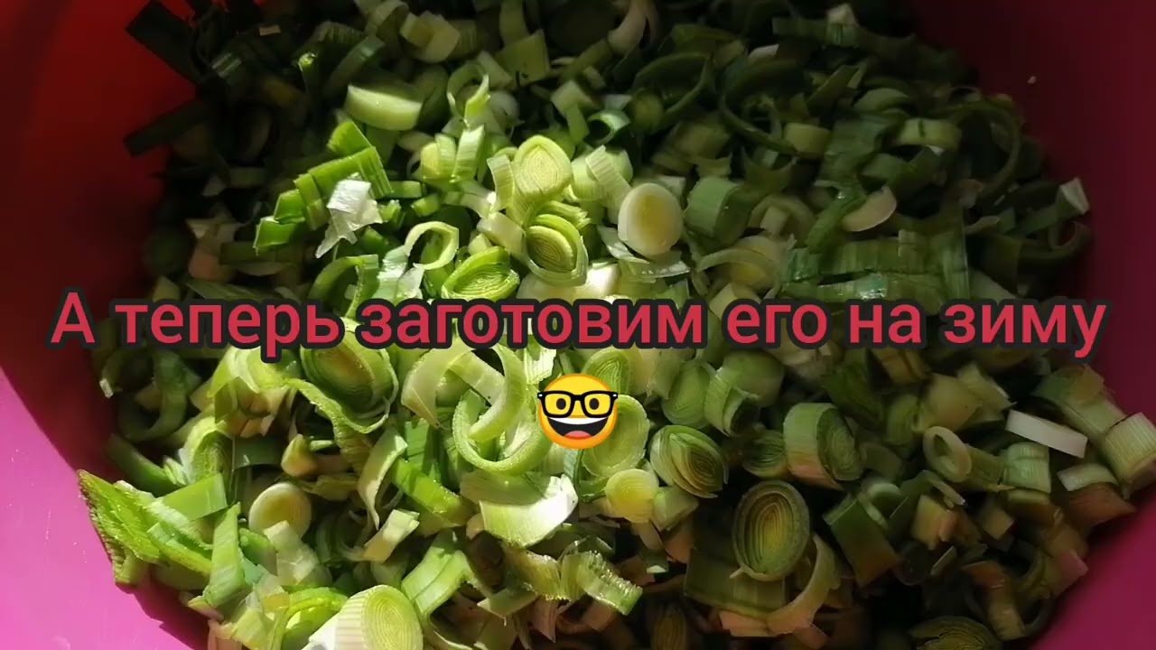 Лук-порей, полезные свойства, заготовка лука-порея на зиму 🤓🌞
