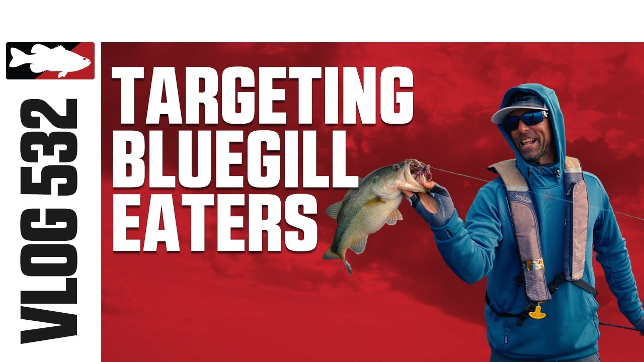 Targeting Bluegill Eaters on Manasquan Reservoir with Mike Iaconelli - VLOG #532
