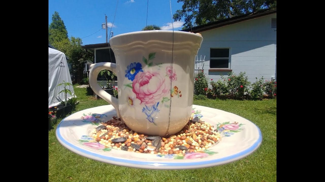 Floating Teacup Birdfeeder