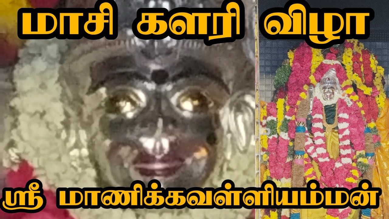 மாசிகளரி திருவிழா திரு ஆப்பனூர் ஶ்ரீ மாணிக்கவள்ளி விழா