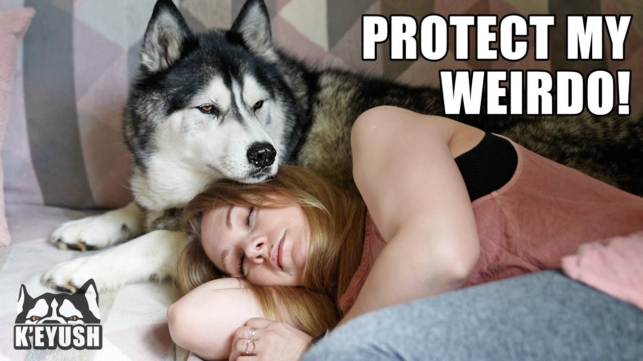 Being Protected By My Husky While I Nap!