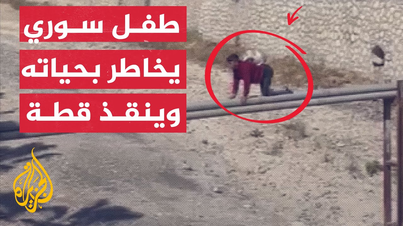 طفل سوري يخاطر بحياته لإنقاذ قطة بمدينة مرسين في تركيا