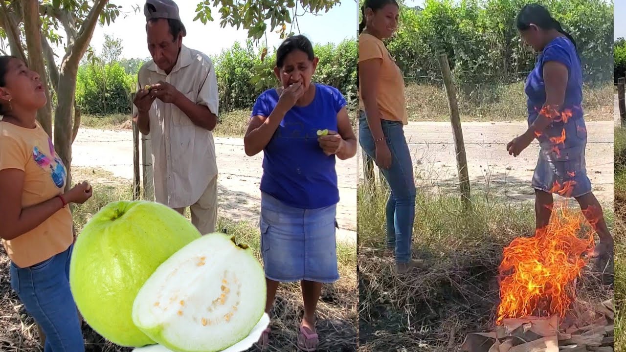 Por ambre nos Toco Comer Guayabas 😌Dios mio por poco agarraba fuego 🔥mi mama 🤬