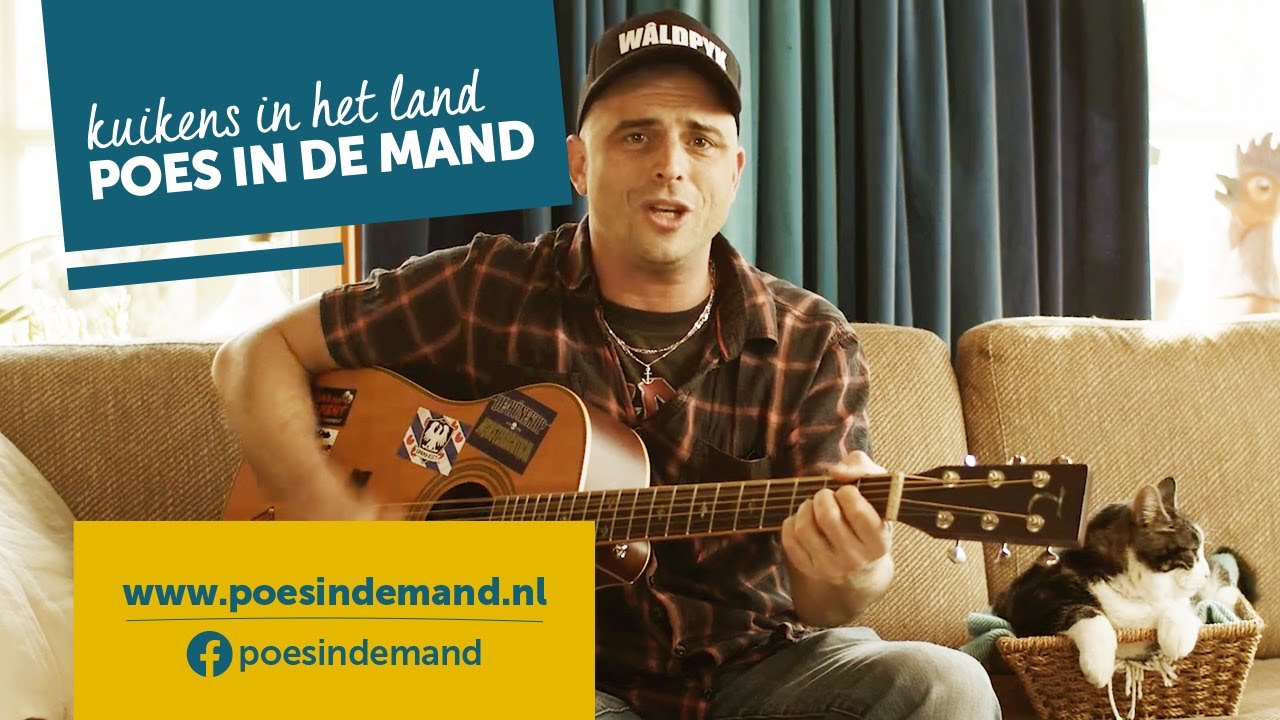 Kuikens in het land, poes in de mand (korte film)