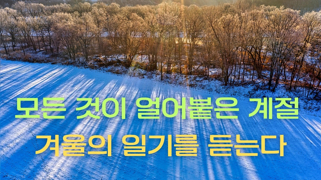 『겨울 일기(日記)』겨울의 한복판에서 듣는 모든 움츠림에 대한 위로 #겨울노래 #겨울 감성 노래 #외로움