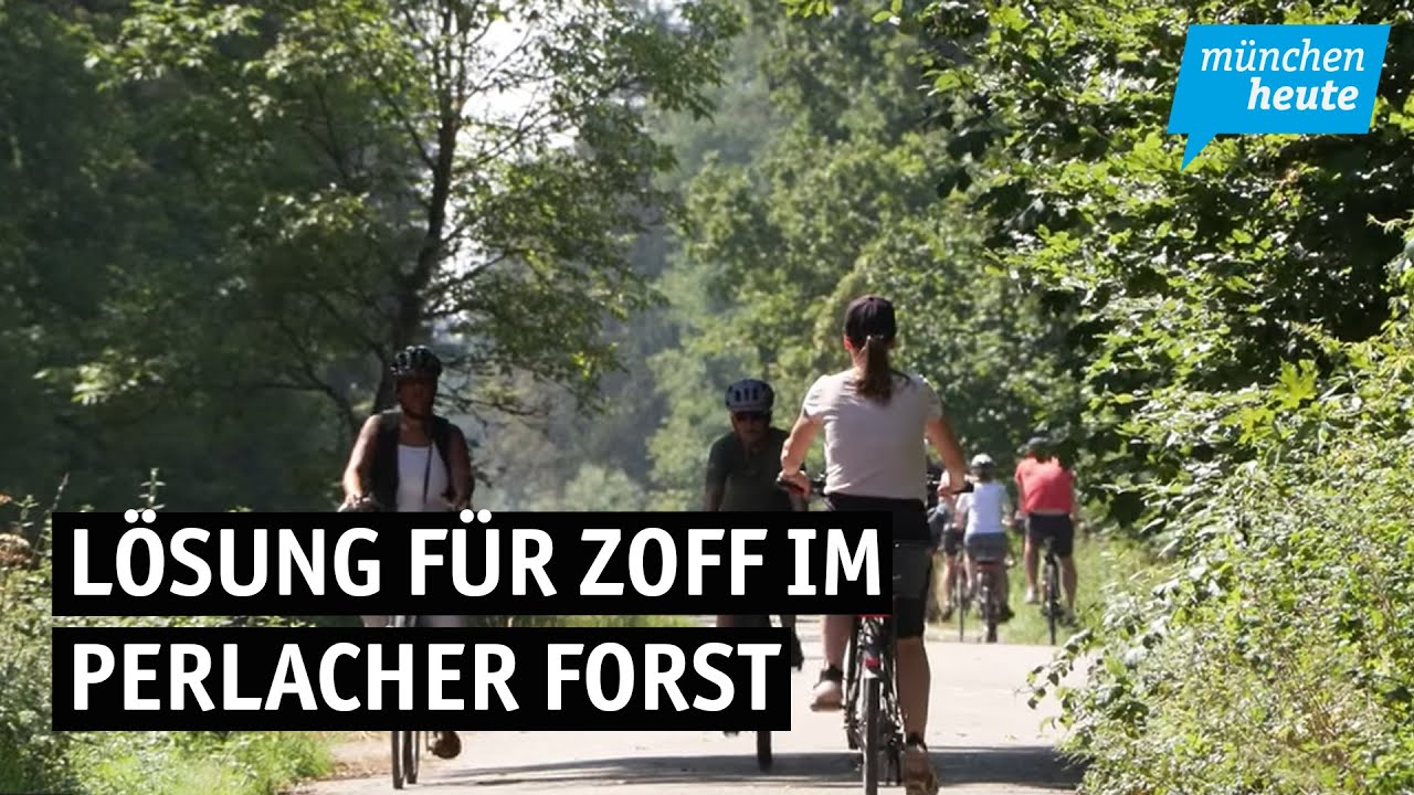 Anwohnerin bietet Lösung für Zoff im Perlacher Forst an