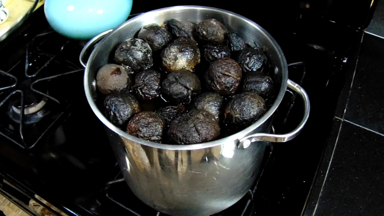 How to Make Black Walnut Ink DIY Tutorial