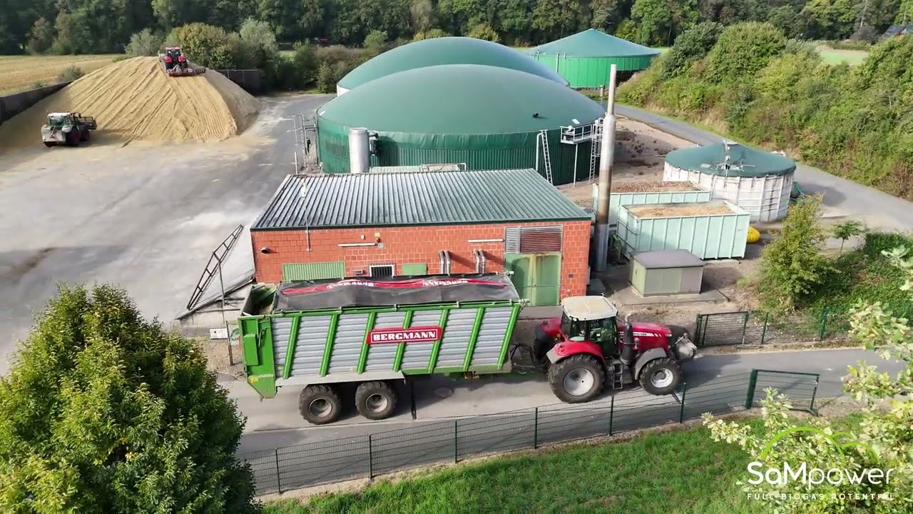 Maisernte bei der Biogasanalge Brinker in Hassel.