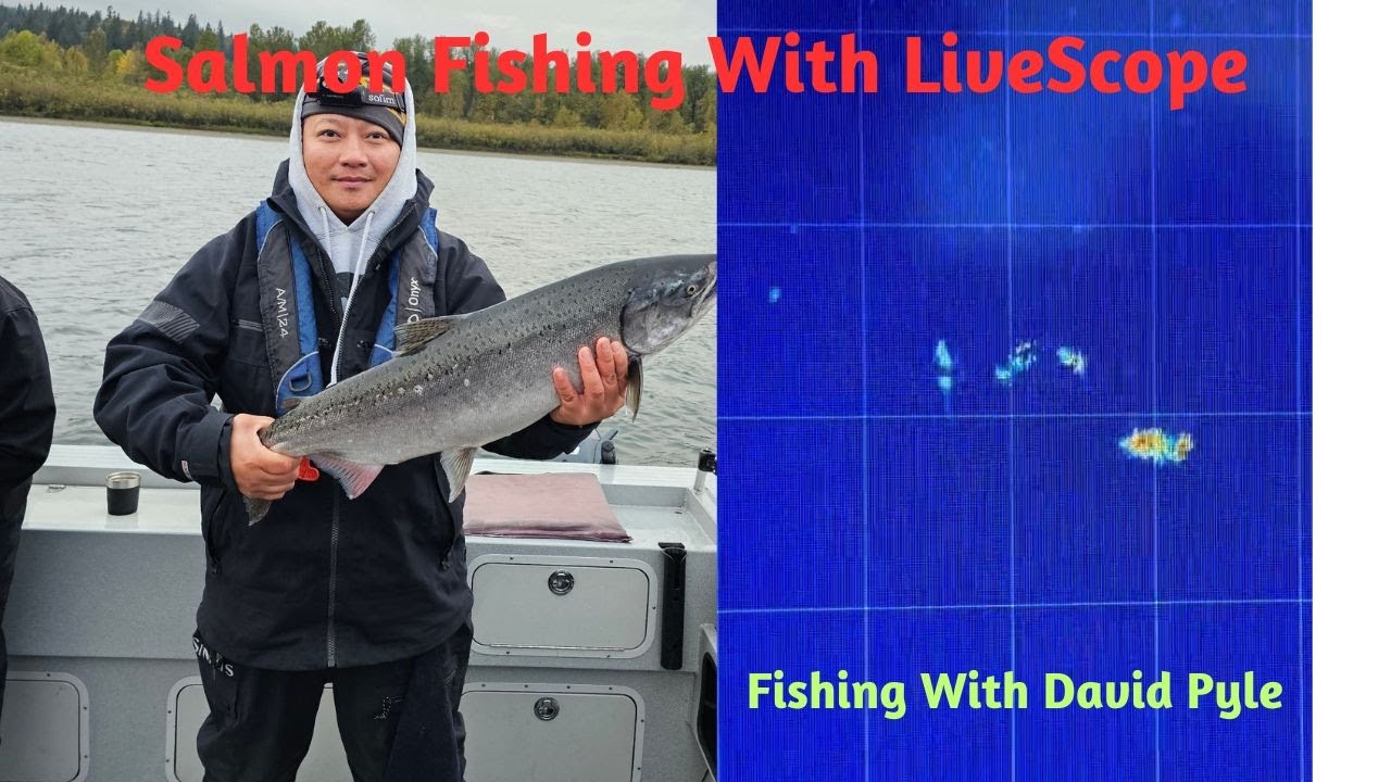 LiveScope & Columbia River Fall Chinook Salmon Fishing