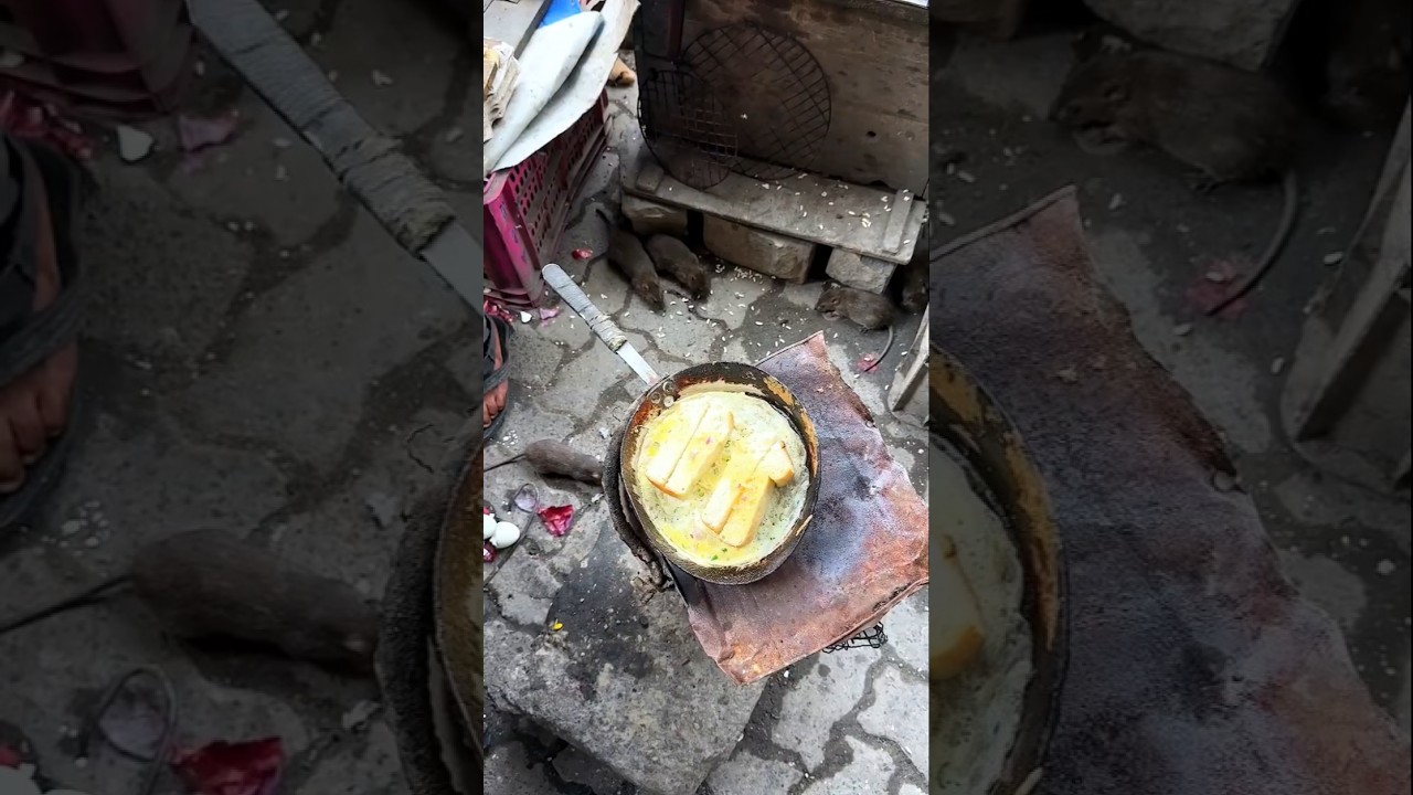 Los huevos sabor a Rata m&aacute;s higi&eacute;nicos de toda la India 🥵🇮🇳