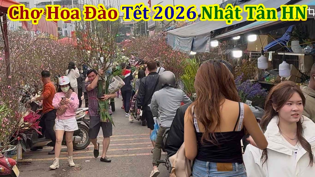 Toàn Cảnh Nóng Bỏng Chợ Hoa Đào Nhật Tân Ngày Cận Tết 2026