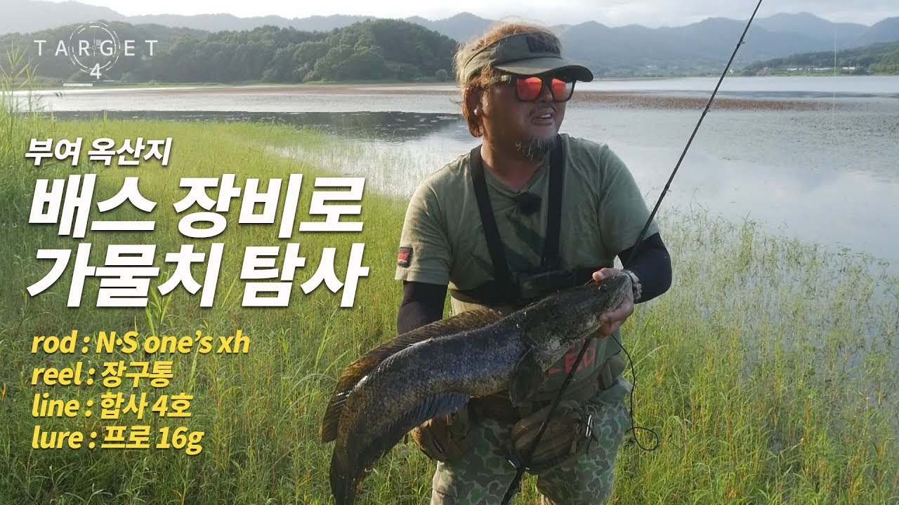 [50th_TARGET]옥산지 가물치 탐사_snakehead /  らいぎょ