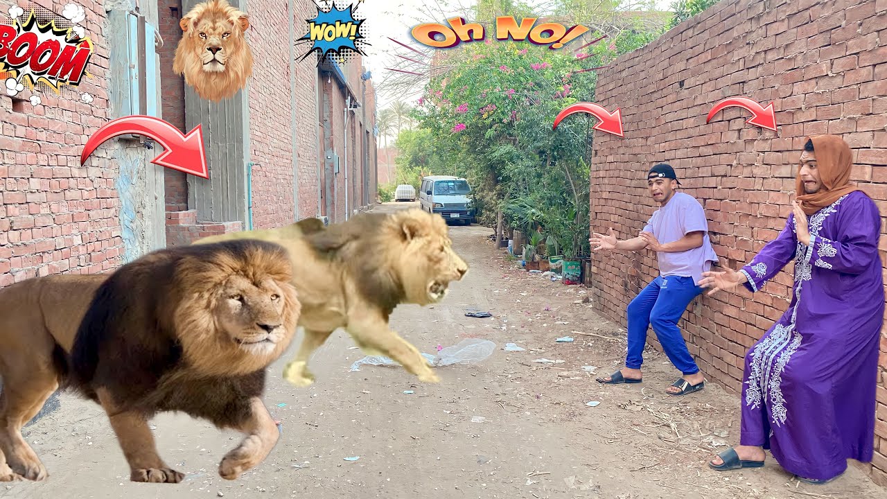لما امك واخوك الصغير يطلع عليهم اسد 🐅في الشارع وياكلهم 😂😱|عمر نصر ✌️