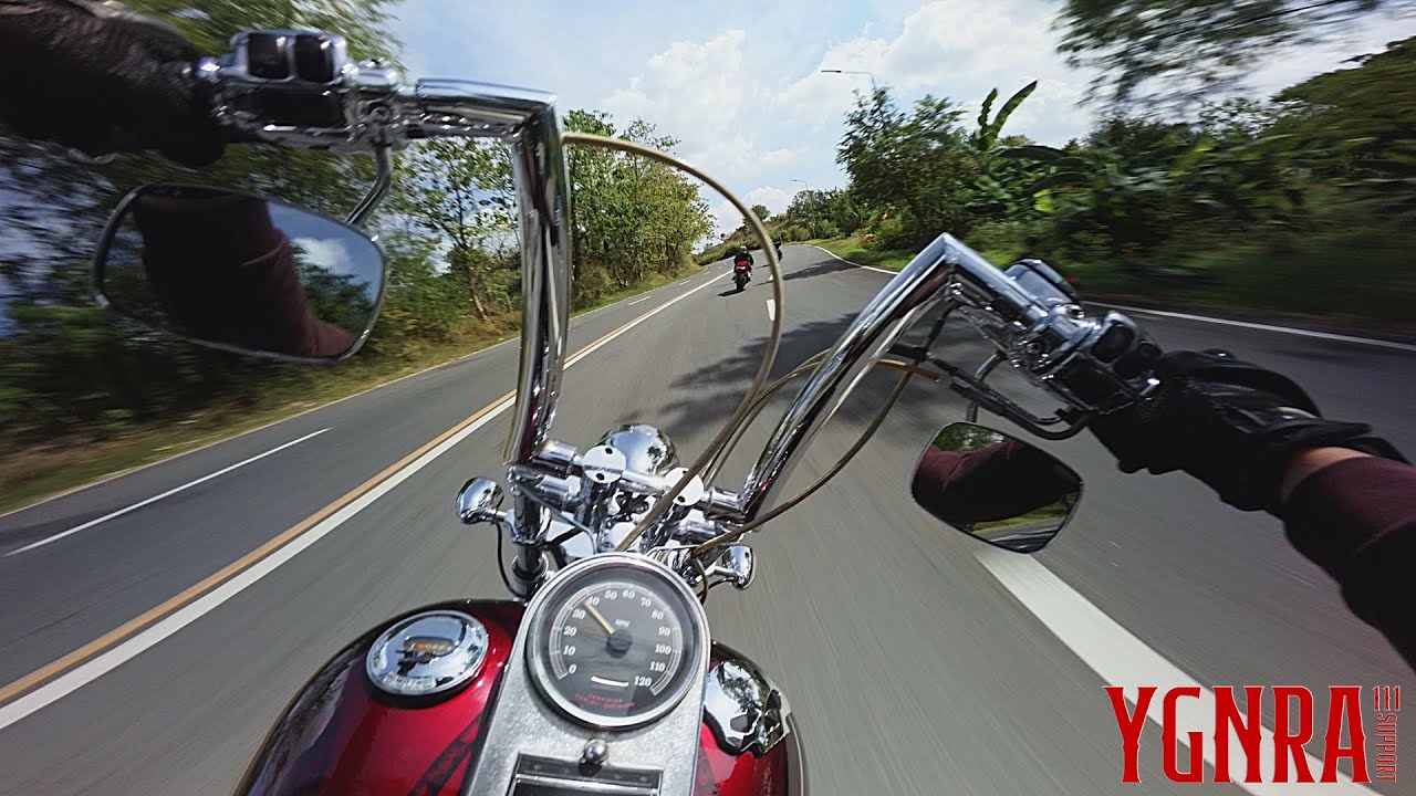 MARRIED TO THE NOISE | 2000 HARLEY-DAVIDSON SOFTAIL STANDARD