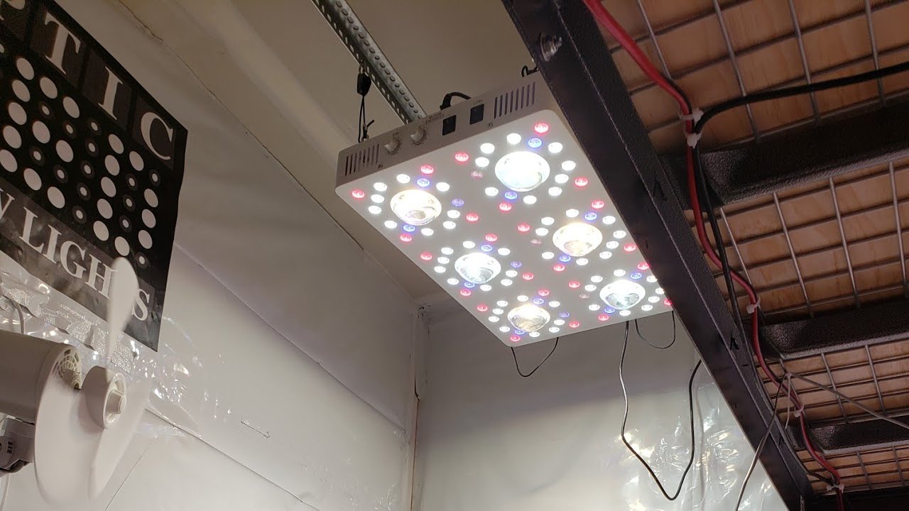 Optic 6 Gen4 Dimmable LED Harvest - Full Harvest Video - Hang Drying & Jar Curing