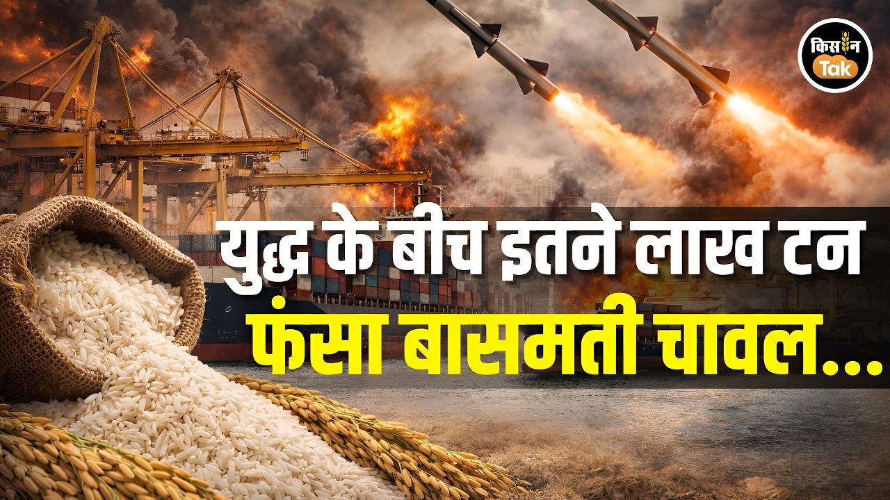Iran-Israel War: इतने लाख टन बासमती चावल फंसा, युद्ध से भारत के Rice Export पर बड़ा असर