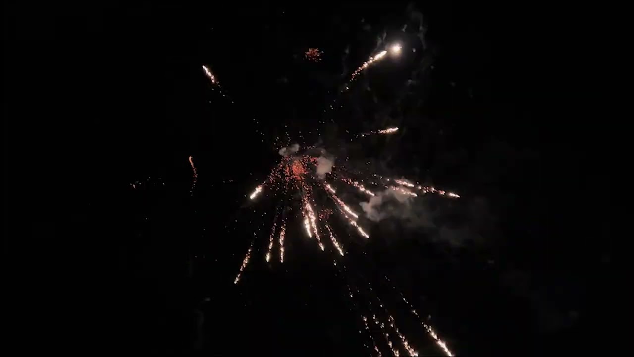 زفة العريس محمد شريف دوريش