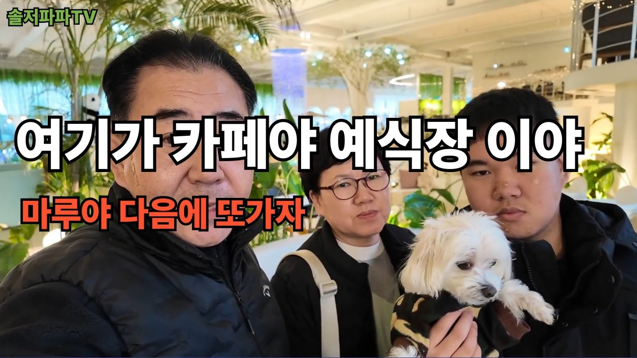 (일상)비 오는 영종 하늘도시… 반려견 동반 카페에서 찾은 소소한 행복