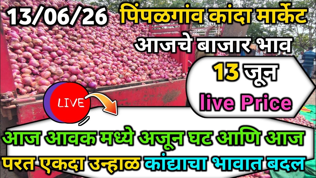 Pimpalgaon Onion Market Price Today:Latest Rates And Insights 13 jun 2025