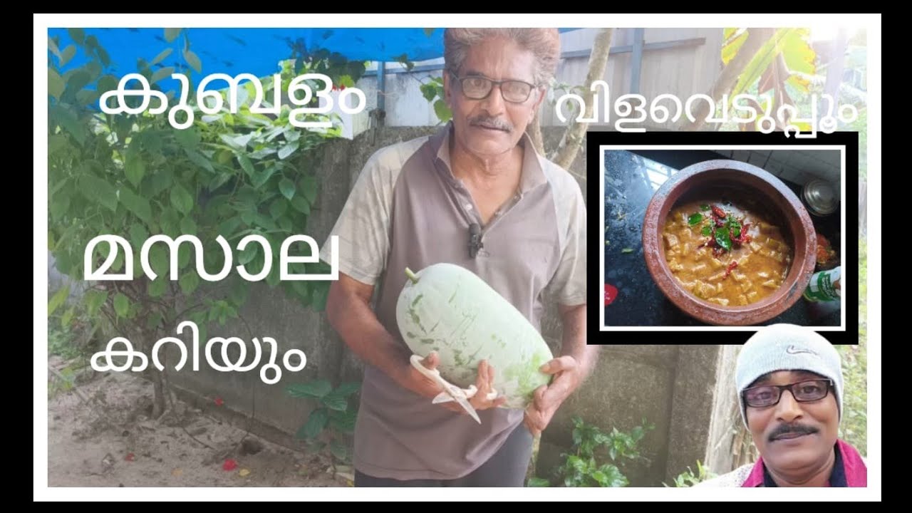 കുംബളം വിളവെടുപ്പും മസാലക്കറിയും#afsalvlog 