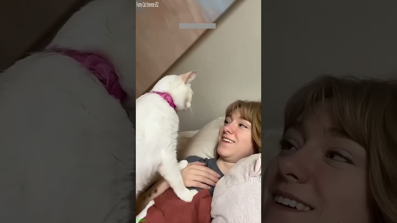 Cute Kittens 🐈‍⬛ funny cats moments 🙀 # #7908