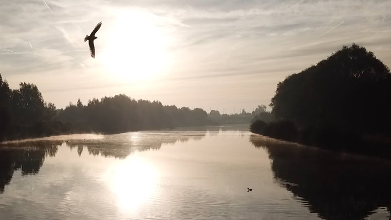 Kanaal Kortrijk-Bossuit Zwevegem (Geluid aan)