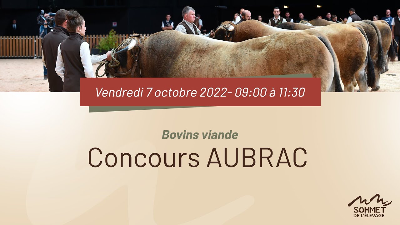 Sommet de l'élevage 2022 - Concours National AUBRAC - 07/10/2022