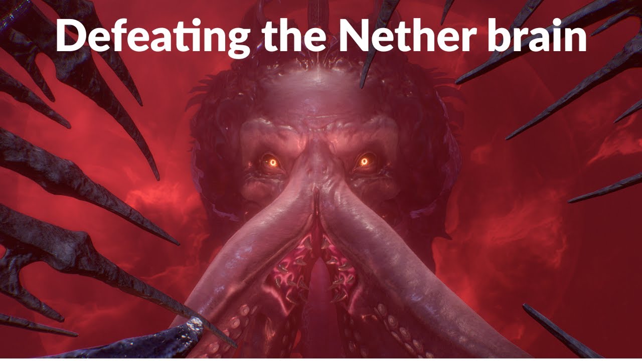 Honour mode day 13 killing the elder brain full fight.
