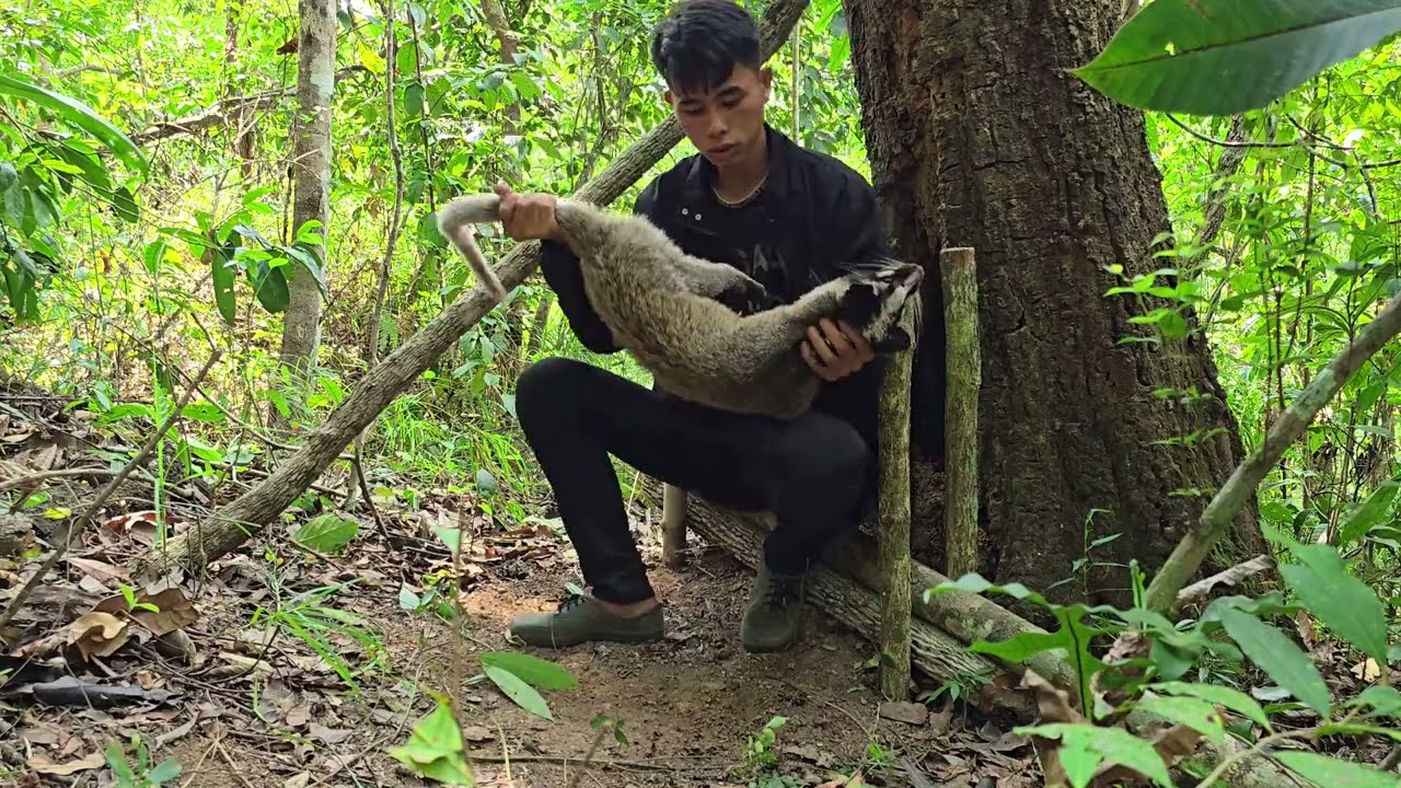 Create amazing trap in the forest to catch wild animals, ancient traps work very well !! Civet Trap