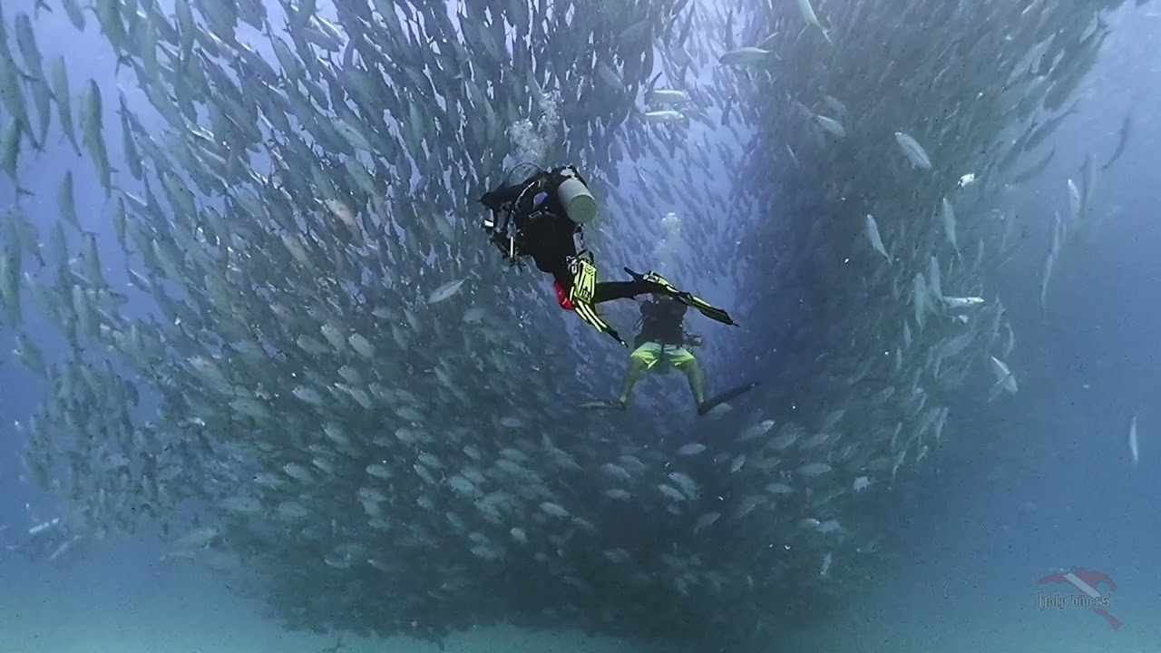 Cabo Pulmo 2021, Holy Divers