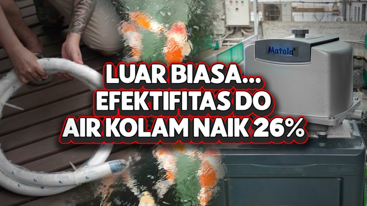 Efektivitas DO: Kecil Tapi KRUSIAL Banget!