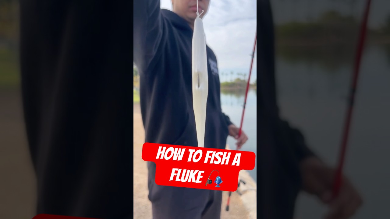 How to rig and fish a fluke! #fishing #bassfishing #fluke