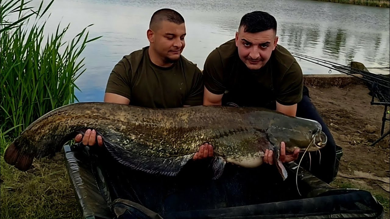 Grabovo pecanje, 24h- 61 riba. Rekord jezera šaran 24,700kg i rekord kampanje SOM 26,700kg