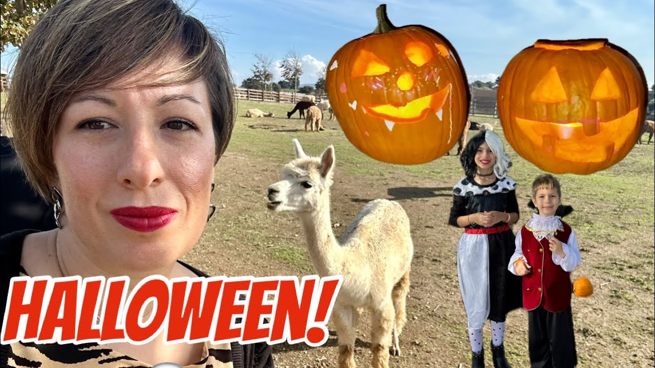 Il ponte dei Santi!🤩Tra natura, zucche 🎃 di Halloween e ricette succulente!😋 #halloween #animali 