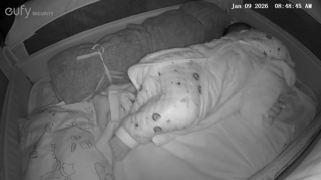 起床後すぐに何度も寝返りを試みるひなころ👶