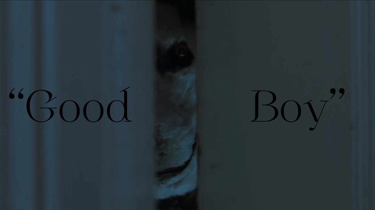 his pet is a man - watching *Good Boy*