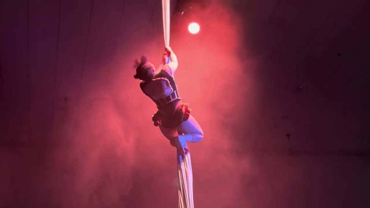 Aerial Silks | Que Viyera